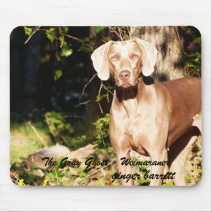Den gråa spöken - Weimaraner, ingefära… Musmatta