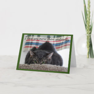 Den gråa tabby katt älskar dig kort