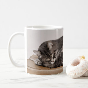 Den gråa tabby katt som sovar på, boxas kaffemugg