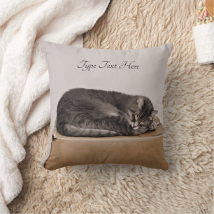 Den gråa tabby katt som sovar på, boxas kudde