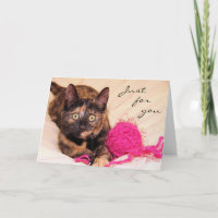 Den Greyfoot katträddingen Tortie för dig Card