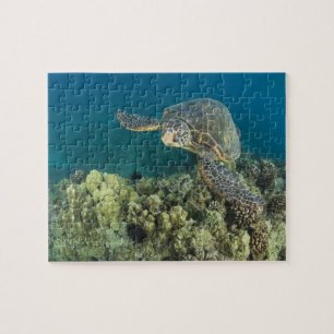 Den gröna havssköldpaddan, (Chelonia mydas), är de Pussel