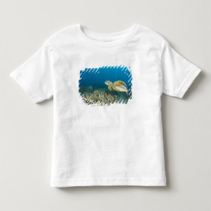 Den gröna havssköldpaddan, (Chelonia mydas), är de Tee Shirt