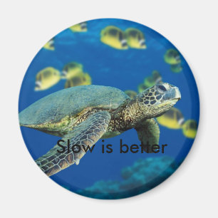 Den gröna havssköldpaddan som är långsam är b magnet