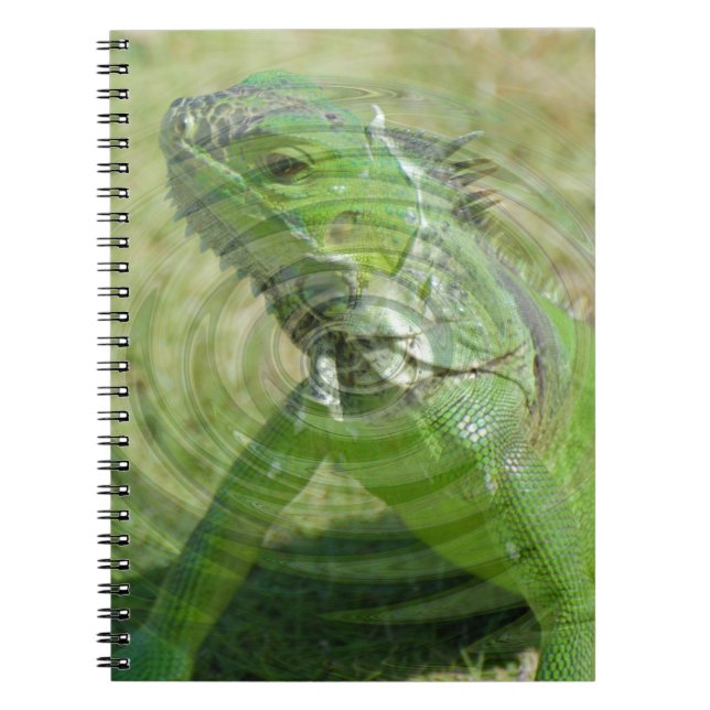 Den gröna leguanen anteckningsbok med spiral (Framsidan)