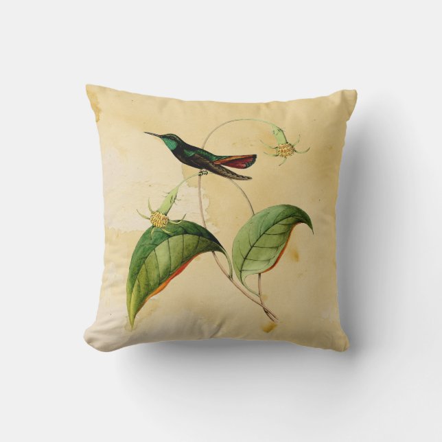 Den gröna Throated mangoHummingbirdvattenfärgen Kudde (Framsida)