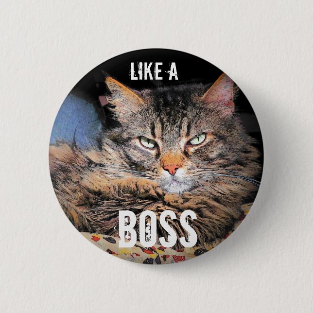 Den Grumpy ängeln, gillar en chefkatt Meme Knapp (Framsida)