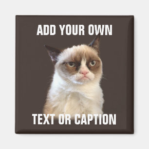 Den Grumpy katten - tillfoga din egna text Magnet