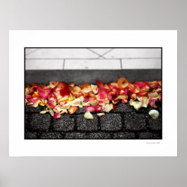 DEN GRUND DU VILLE HA PÅ Poster