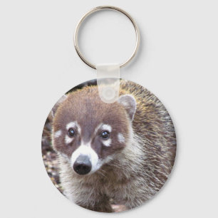 Den grundläggande coatien knäppas Keychain Nyckelring