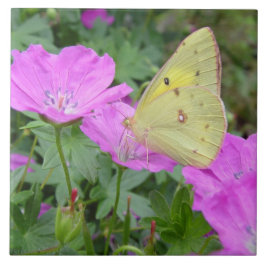 Den gula fjärilen belägger med tegel kakelplatta