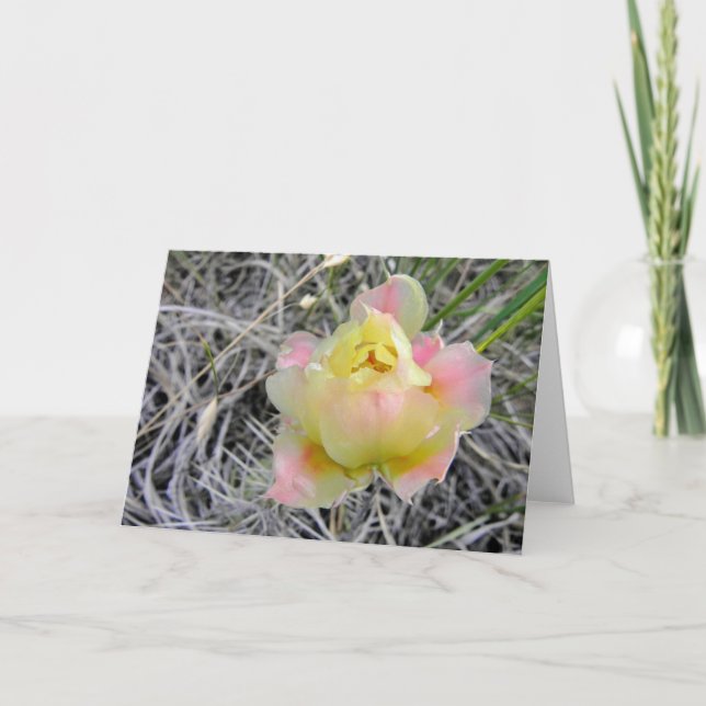 Den gula kaktusblomman noterar kortet kort (Framsida)