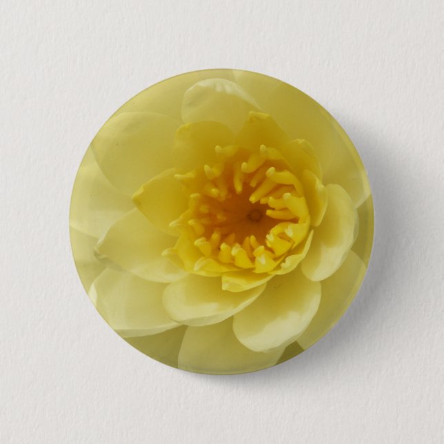 Den gula näckrosen knäppas knapp (Framsida)