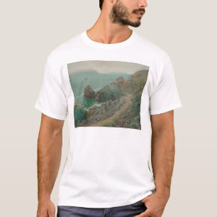 Den guld- grinden från havklippan (1154) tee