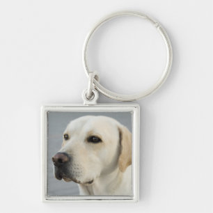 Den guld- Labrador retrieveren fotograferar Fyrkantig Silverfärgad Nyckelring