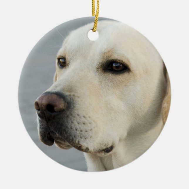 Den guld- Labrador retrieveren fotograferar Julgransprydnad Keramik (Framsidan)