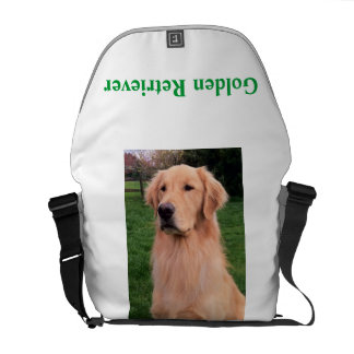 Den guld- retrieveren hänger lös messenger bag