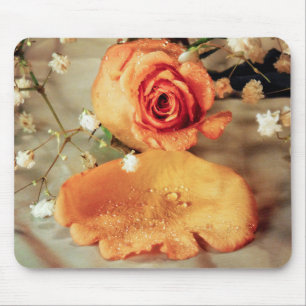 Den guld- rosa musen vadderar musmatta