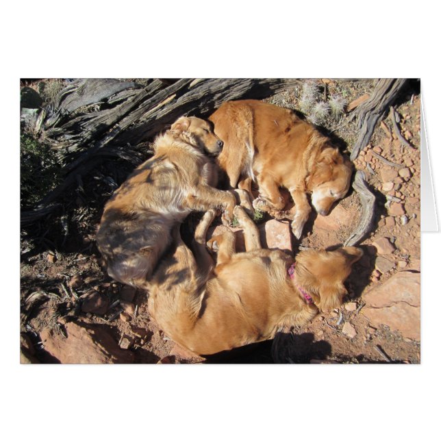 Den guld- triangeln hälsningskort (Framsidan Horizontal)