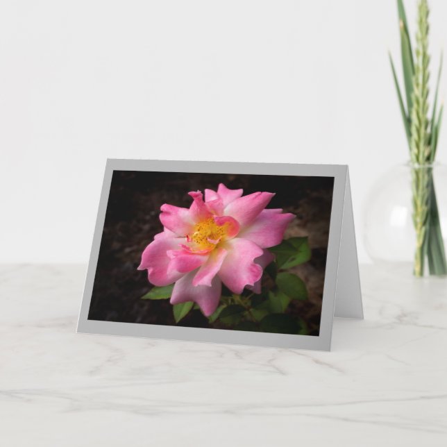 Den guld- vibrerande rosa ros centrerar kort (Framsida)