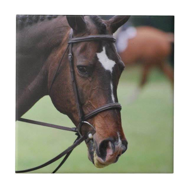 Den gulliga arabiska hästen belägger med tegel kakelplatta (Framsidan)
