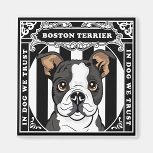 Den gulliga Boston Terriermagneten kvadrerar Magnet