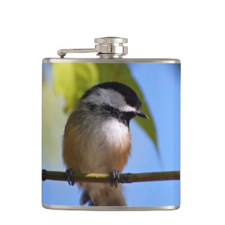 Den gulliga chickadeen på en gren fotograferar fickplunta