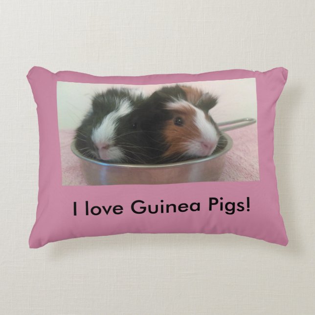 den gulliga försökskaninen kudder prydnadskudde (Framsidan)