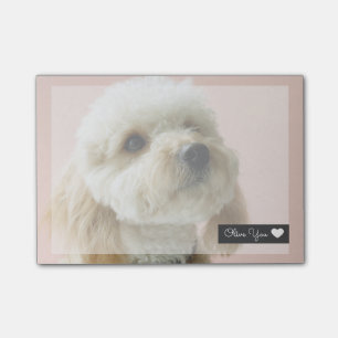Den gulliga hunden överdrar Posta-honom noterar Post-it Block