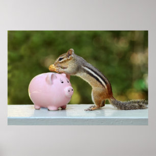 Den gulliga jordekorren med Piggy roliga pengar Poster