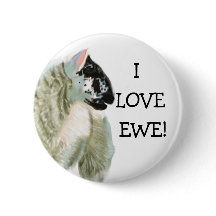 Den gulliga lamben älskar tackan