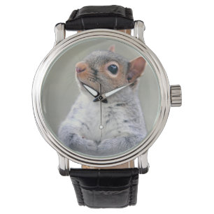 Den gulliga nyfikna ekorren profilerar fotoet armbandsur