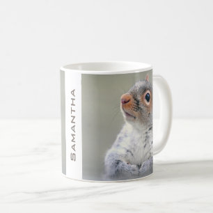 Den gulliga nyfikna ekorren profilerar fotoet kaffemugg