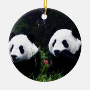 Den gulliga pandaen kopplar ihop julgransprydnad keramik