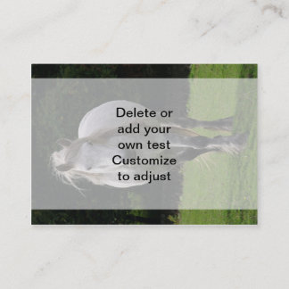 Den gulliga ponnyn fotograferar visitkort