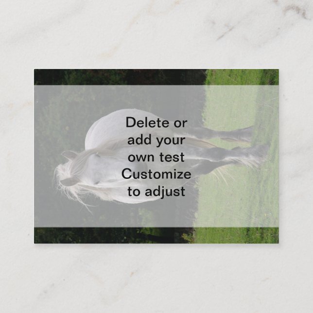 Den gulliga ponnyn fotograferar visitkort (Baksida)