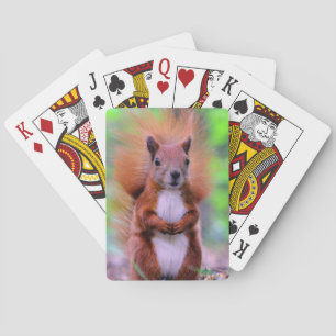 Den gulliga röda ekorren fotograferar casinokort