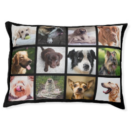 Den gulliga & roliga hunden för hundfotoCollage