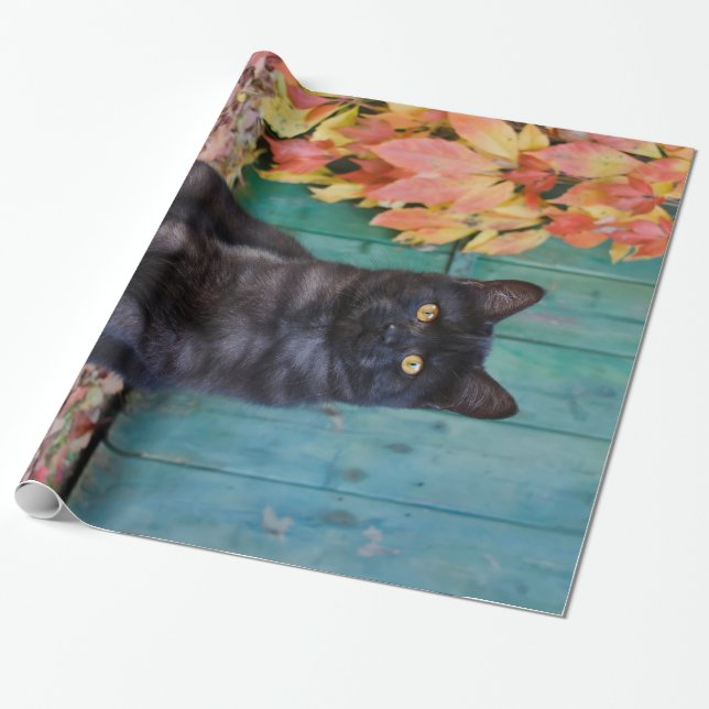 Den gulliga svart kattkattungen med röda löv presentpapper (Utrullad)