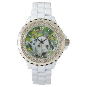 Den gulliga svart prickiga Dalmatian hundvalpen Armbandsur