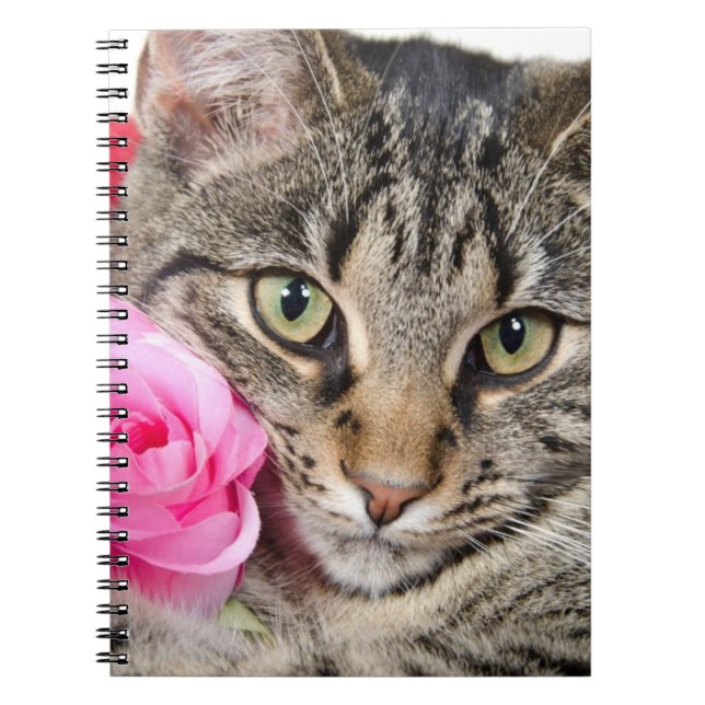 Den gulliga tabby katt med steg anteckningsbok (Framsidan)