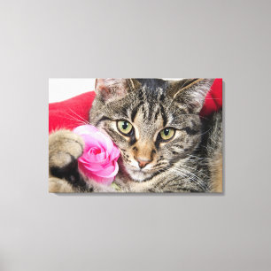 Den gulliga tabby katt med steg canvastryck