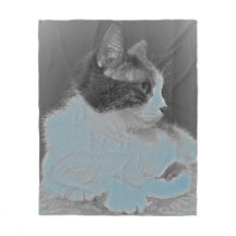 Den gulliga vit- och gråttkatten profilerar bilden