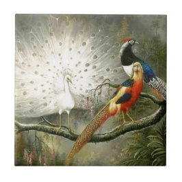 Den gulliga vitpåfågeln kopplar ihop att festa för kakelplatta