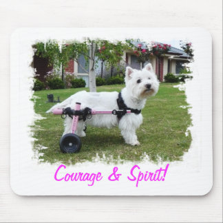 Den Hailey Westie musen vadderar Musmatta
