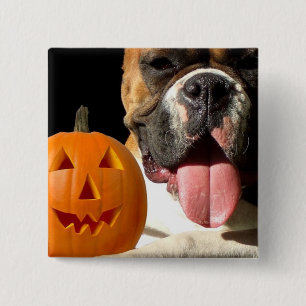Den Halloween boxare knäppas Knapp