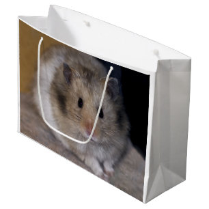 Den Hammie gåvan hänger lös