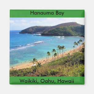 Den Hanauma fjärden, Honolulu, Oahu, Hawaii Magnet