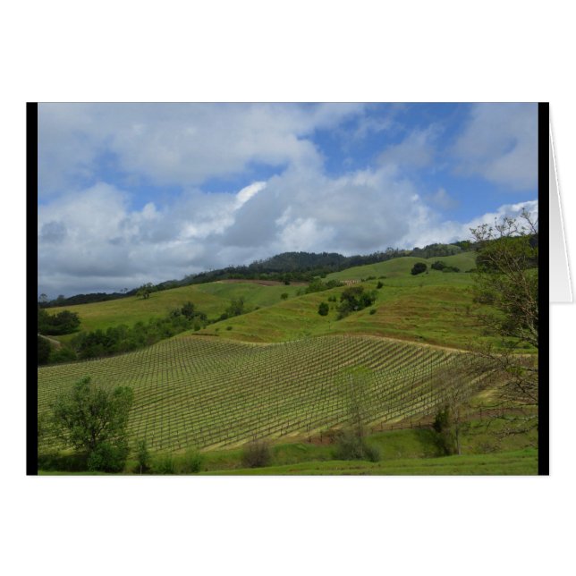 Den Hannah vinodlingen beskådar April 2018 Hälsningskort (Framsidan Horizontal)