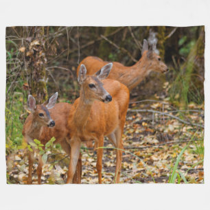 Den häpnadsväckande trion av Blacktail-Hjorten i s Fleecefilt